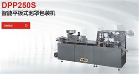 DPP250S智能平板式泡罩包装机
