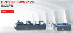 DPP250FII-XWZ120卧式铝塑包装生产线